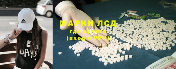 эйфоретик Баксан