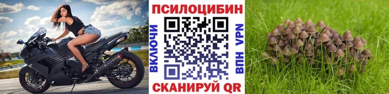 Псилоцибиновые грибы прущие грибы  хочу наркоту  Черноголовка 